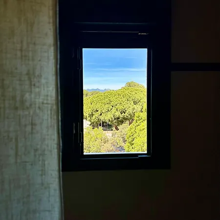 Fancy Duplex Penthouse In Carib Playa Cabopino * Marbella