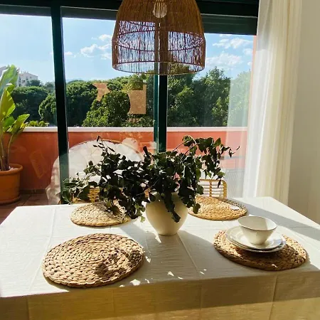 Fancy Duplex Penthouse In Carib Playa Cabopino