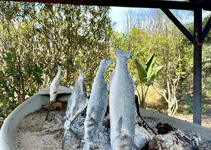 Appartamento Fancy Duplex Penthouse In Carib Playa Cabopino