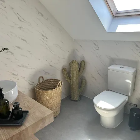 Fancy Duplex Penthouse In Carib Playa Cabopino