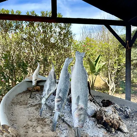 Apartment Fancy Duplex Penthouse In Carib Playa Cabopino