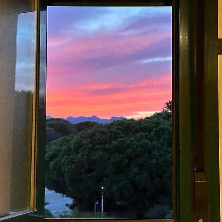 Apartment Fancy Duplex Penthouse In Carib Playa Cabopino Marbella